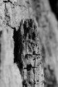 Abstract Landscape exposure no. 5
