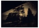 Light Being Back (1)