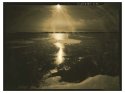 Light Being Back (2a)