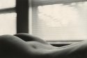 Afternoon view, spring 1999