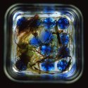Light from a kilner Jar Number 9