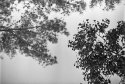 Depth