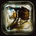 Light from a Kilner Jar 17