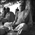 Monks; Lumbini, Nepal (2012)