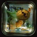 Light from a Kilner Jar 19