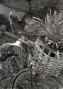 Schwinn planter