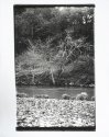 Russian River