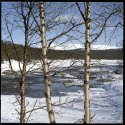 Winter memories 3