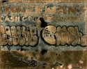 Crazy Wall