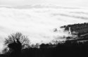 Carlow Hills and a Fog