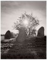 7 stone viking-age cenotaph.