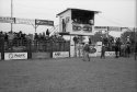 Miles City Bucking Horse Sale