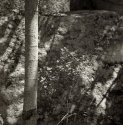 granite along the path