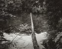 Fallen