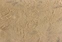 Beach sand