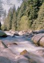 Lynn Canyon river series