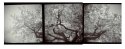 triptych