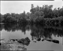 The Bayou at Ruddock II