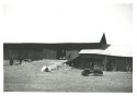 Edsel and Doodlebug