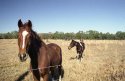 In A Beautiful Place Out In The Country III