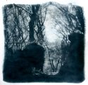 forrest of trolls - Bromoil