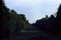 Local landscape
