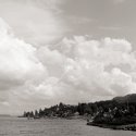 Bay of hounds