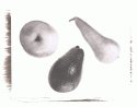 Still Lifes - Op. 2 #2