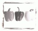 Still Lifes - Op. 2 #3