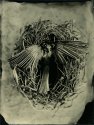 Life and Death 2
