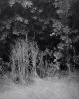 Experiment with new lens