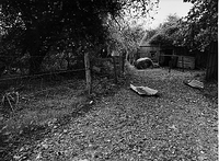 Various images from Ireland