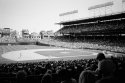 Wrigley Field