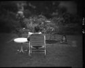 In the garden