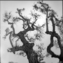 scan-120729-0012