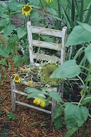 Chair w/Sunflowers