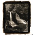 Platinum Palladiums from 4X5 negs/5X7 negs