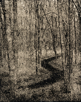 McKinney roughs winding trail