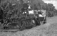 Images from first bulk roll