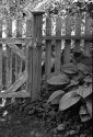 Garden gate