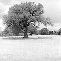 Recess at San Ildefonso Pueblo
