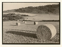 Salt print, South Downs harvest