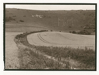 Salt Print, Long Man, Wilmington