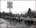 Speed Zone. 2004