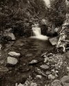Creek, Old Fall River Road