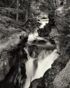 Avalanche Creek, Highway to the Sun Road