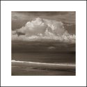 Marine Land Beach