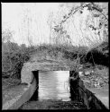 Old Mill Port Moody BC