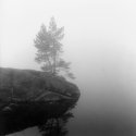 Fog II