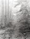 The Road Less Traveled
